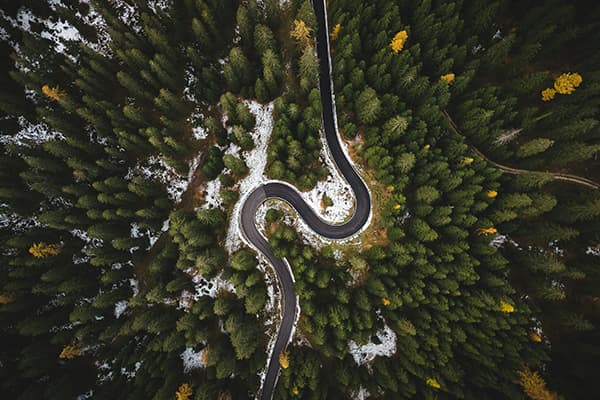 Aerial forest road